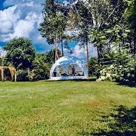 B Our Guest At Your Cozy Hideaway Dome Near Dresden Frauendorf  Kültér fotó